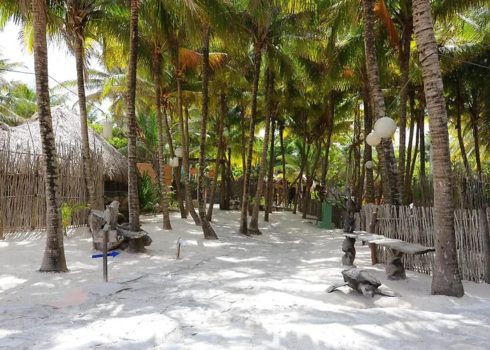 Hotel Zamas 4*