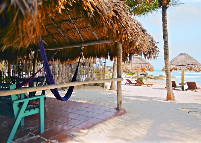 Hotel Zamas 4*